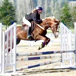 Competitive all-round potential ready to get out!