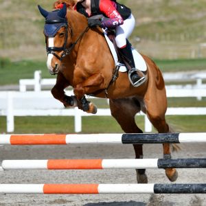 Awesome Allrounder SchoolMistress