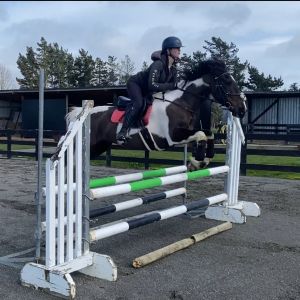 Full Height, All-rounder 