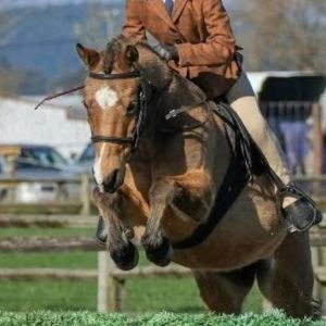 Exceptional Kids pony