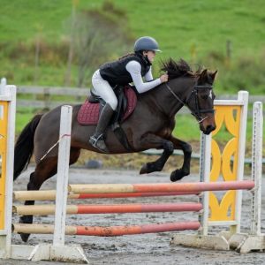 Eye Catching Ultimate Allrounder