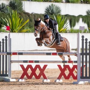 ⭐️🐴This pony needs no introduction. A super star in both NZ and Aus. An extremely hard sale but unfortunately kids grow🐴⭐️