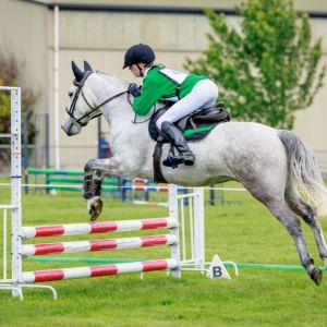AWESOME ALLROUNDER PONY!