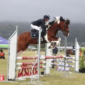 Low-Mileage 1.05m Pony with Scope to Move Up