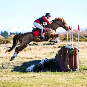 Competitive high level school master.