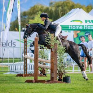 Competitive Schoolmaster - My Masterpiece 