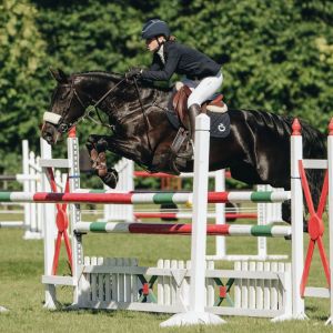 Ultimate show jumping and allrounder pony
