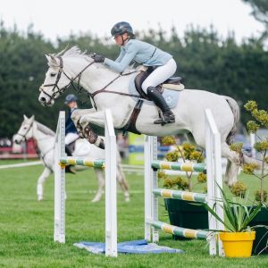 Showing Jumping Schoolmaster