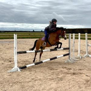 Ultimate All Rounder