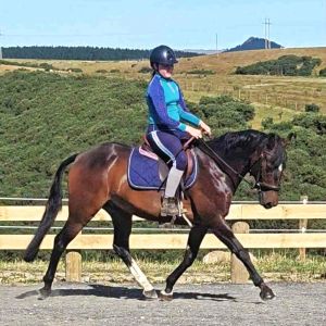 He will take the world by storm