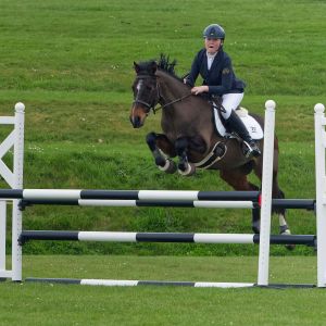 Arguably the safest most competitive pony on the planet!