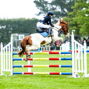 Ultimate all rounder pony 
