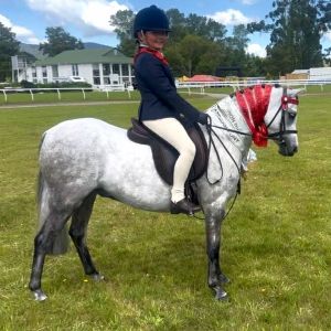 Ultimate child’s pony