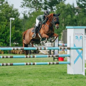 Talented All Rounder