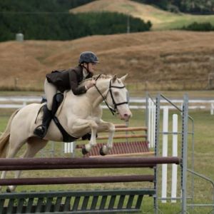 Versatile all rounder 