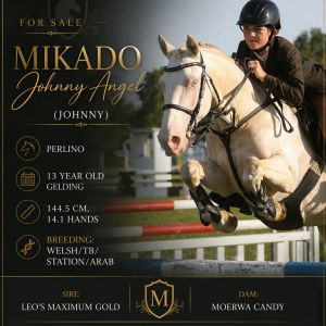 Versatile all rounder 