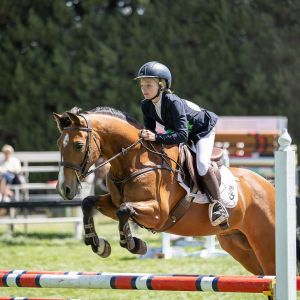 Exceptional Cat B Show Hunter Pony
