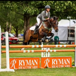 Highly Competitive Mini Prix Pony Ready to Step up