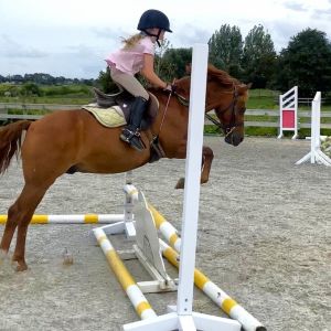Super 12.2 school master first/second ridden 