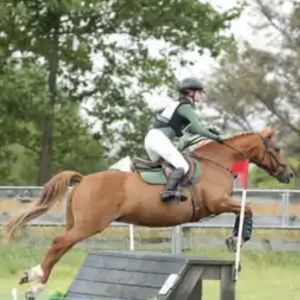 School Mistress allrounder