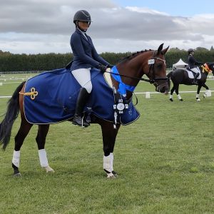 Horse for sale: German FEI Dressage Pony