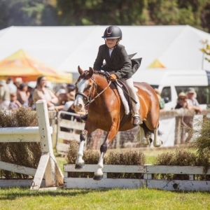 Amazing Rockstar Pony