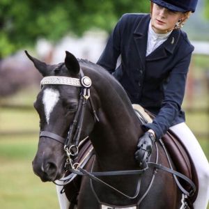 Superstar Show Pony 