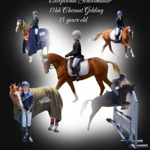 Exceptional Schoolmaster 