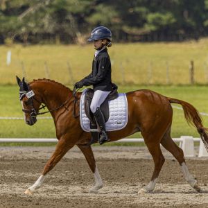 Exceptional Schoolmaster 