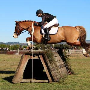 Superstar Jumping Pony with Plenty of Scope