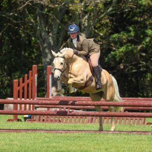 Mothers Dream Pony
