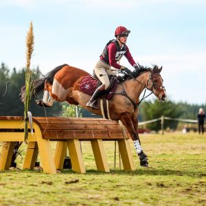 Competitive Well-Known Pony
