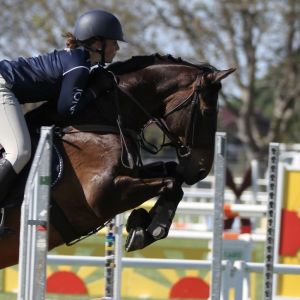 The Pony of a Lifetime - Lone Star ZY