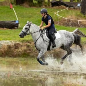 Miss Mojo - Eventing/Dressage School Mistress