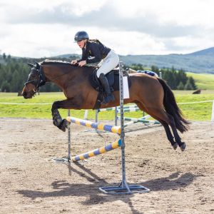 Versatile parents' dream pony