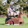 Horse image