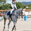 Horse image