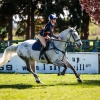 Horse image