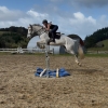 Horse image