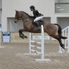 Horse image