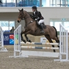 Horse image