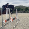 Horse image