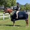 Horse image