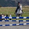 Horse image