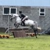 Horse image