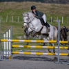Horse image