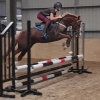 Horse image