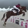 Horse image