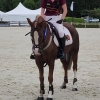 Horse image