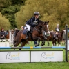 Horse image